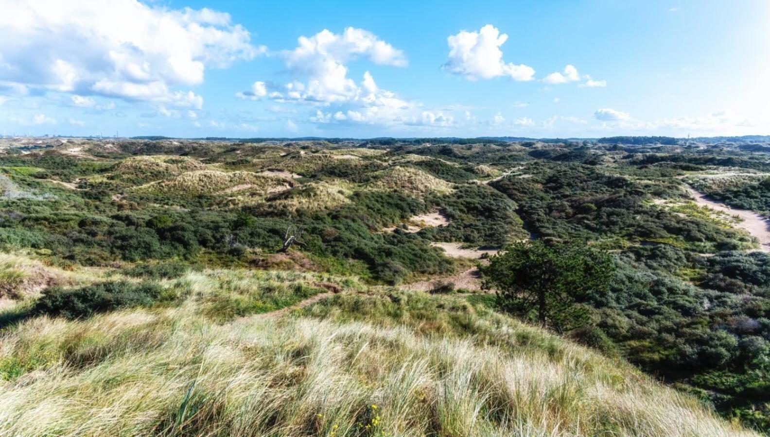 The East Wing * Bloemendaal